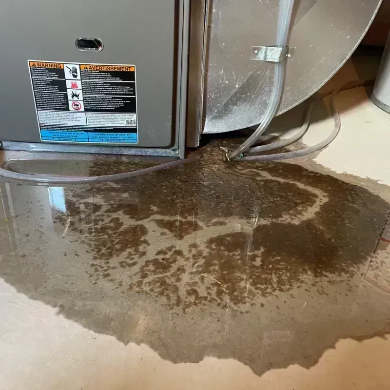 Appliance Leak Cleanup in Kilmanagh, MI